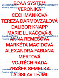 Finalists of Other Visions CZ 2019